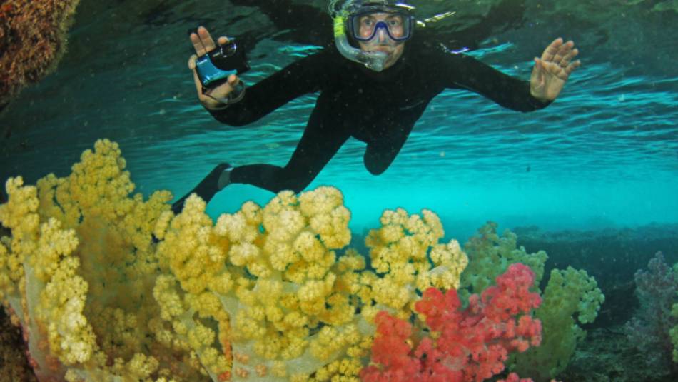 Diving the coral reefs of Palau