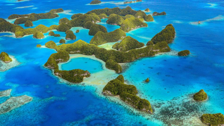 A myriad of colour awaits in Palau
