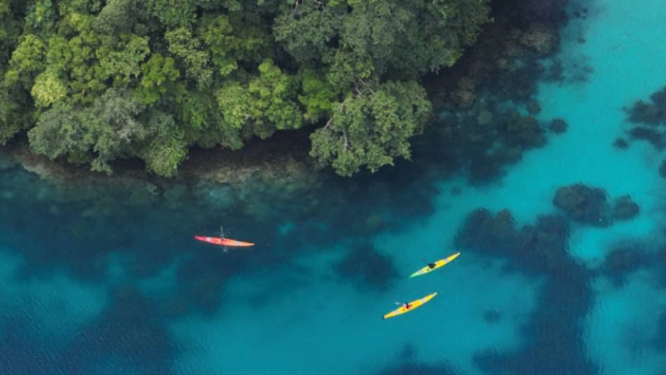 Explore Palau by kayak