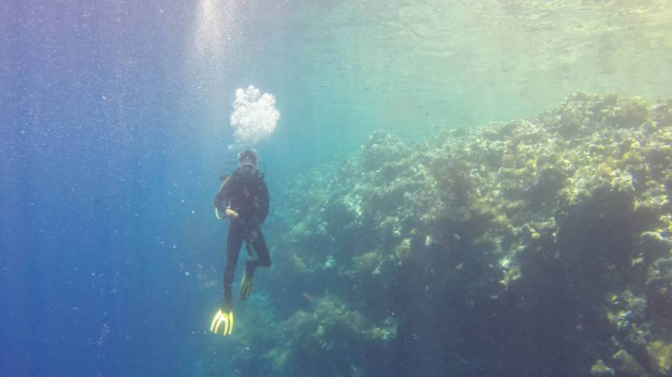 Diver in Palau | Arhnue Tan