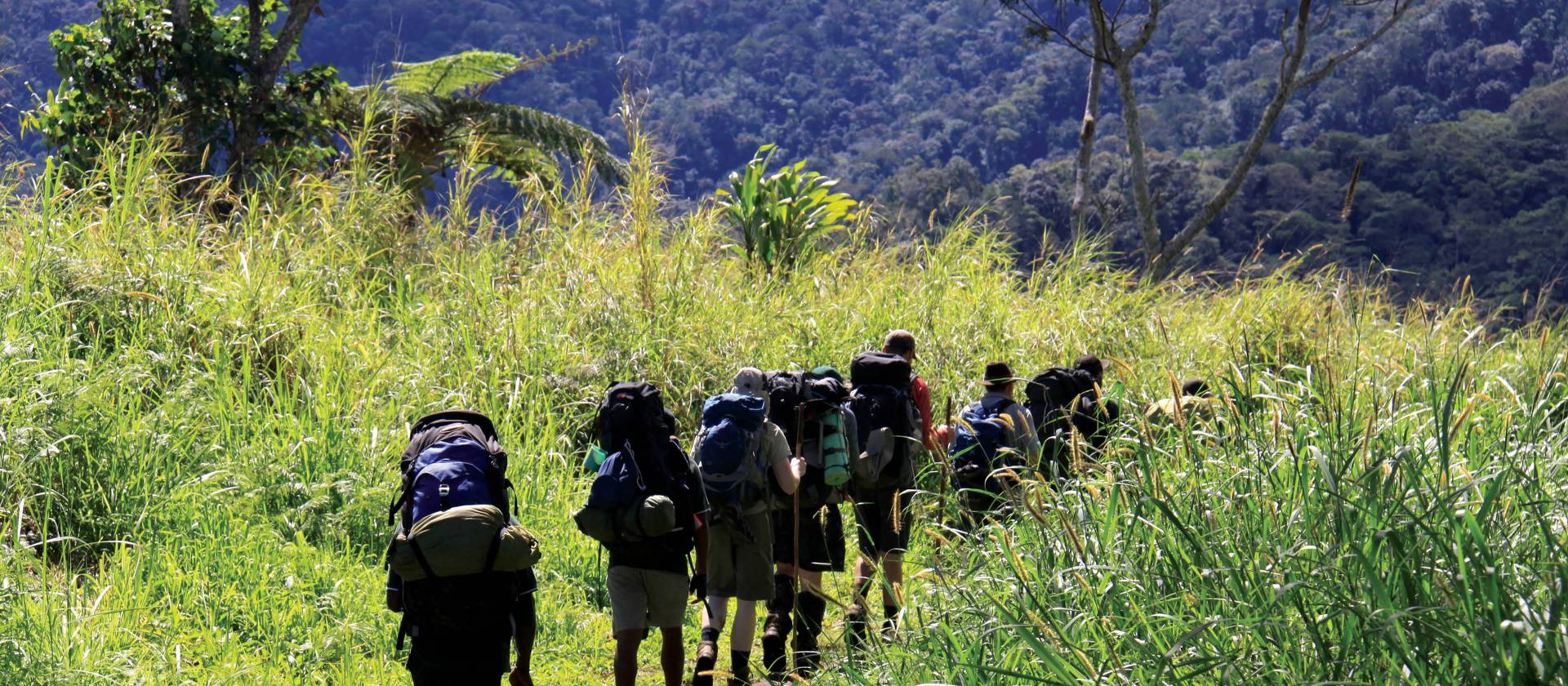 Trekking through the verdant scenery of Papua New Guinea | Ken Harris