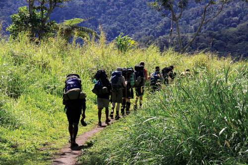 Trekking through the verdant scenery of Papua New Guinea&#160;-&#160;<i>Photo:&#160;Ken Harris</i>