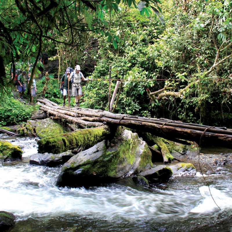 Cross rainforest rivers on the Kokoda Track in Papua New Guinea | Ken Harris