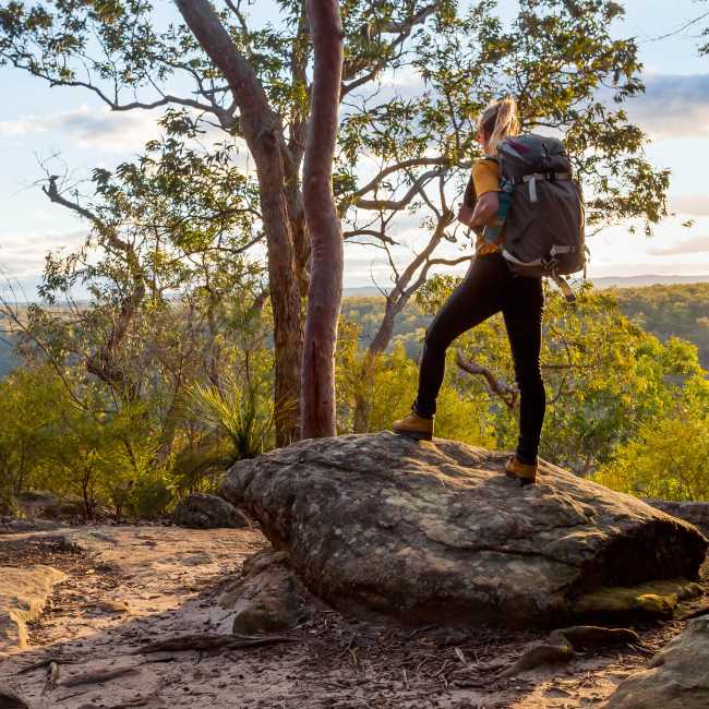 Admire the beauty of Girraween National Park