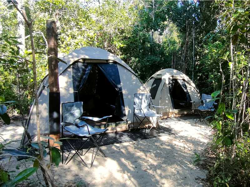Camp set up on the Thorsborne | Anne Gelling