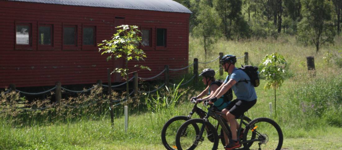 Rail store trail bike