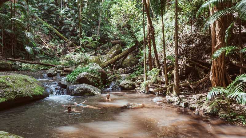 Discover peaceful swim spots