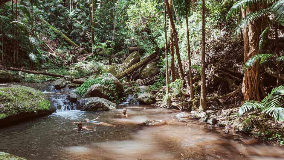 Discover peaceful swim spots