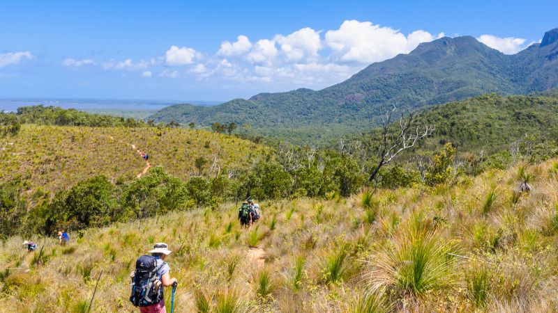 Thorsborne Trail trekkers cross a grassy ridge, Hinchinbrook Island - Thorsborne Trail Guided Walk, Australia