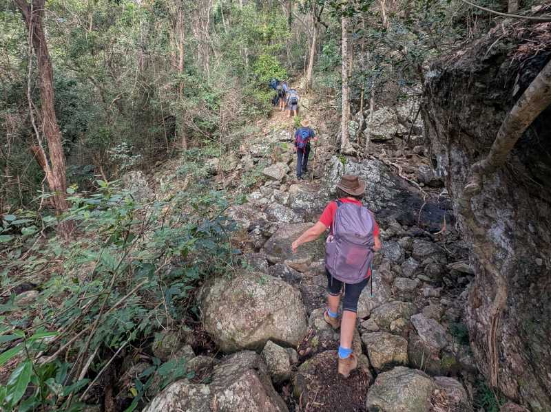 Ngaro Trail Surface | Anne Gelling