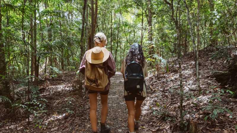 Sheepstation Creek Walk | K. Holmes