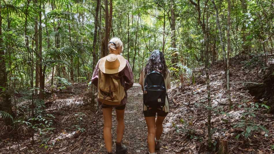 Sheepstation Creek Walk | K. Holmes