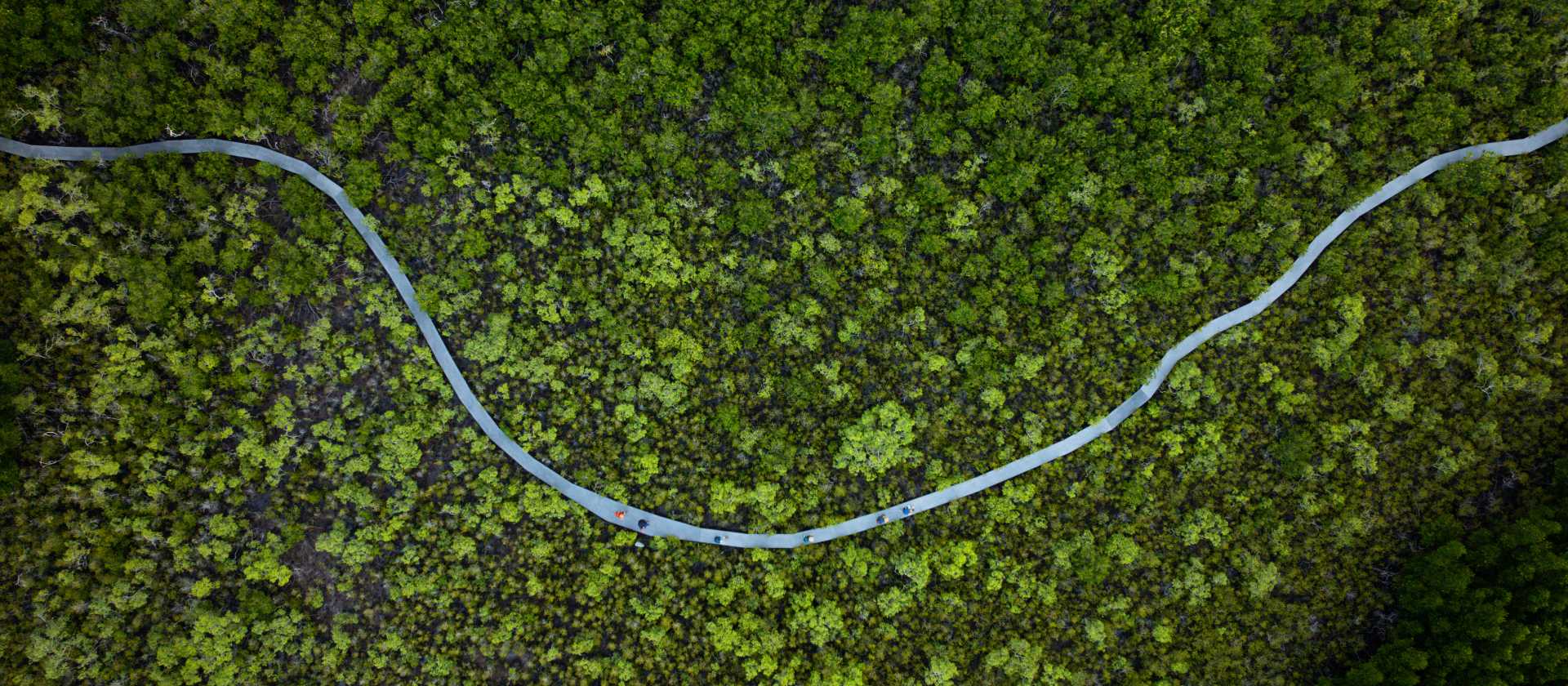 Ngaro Track Walk In Comfort