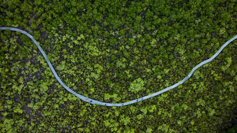 The Ngaro Track, Whitsunday Islands | Matt Horspool