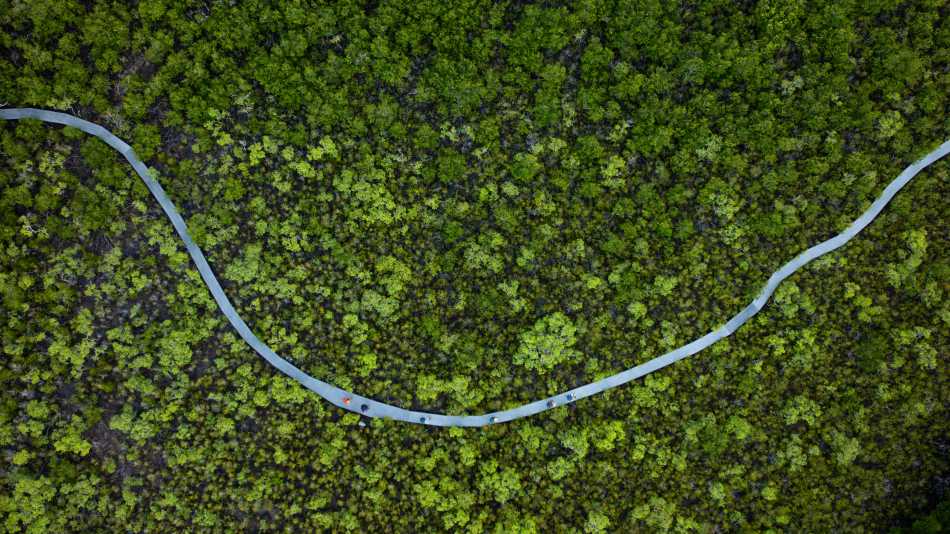 The Ngaro Track, Whitsunday Islands | Matt Horspool