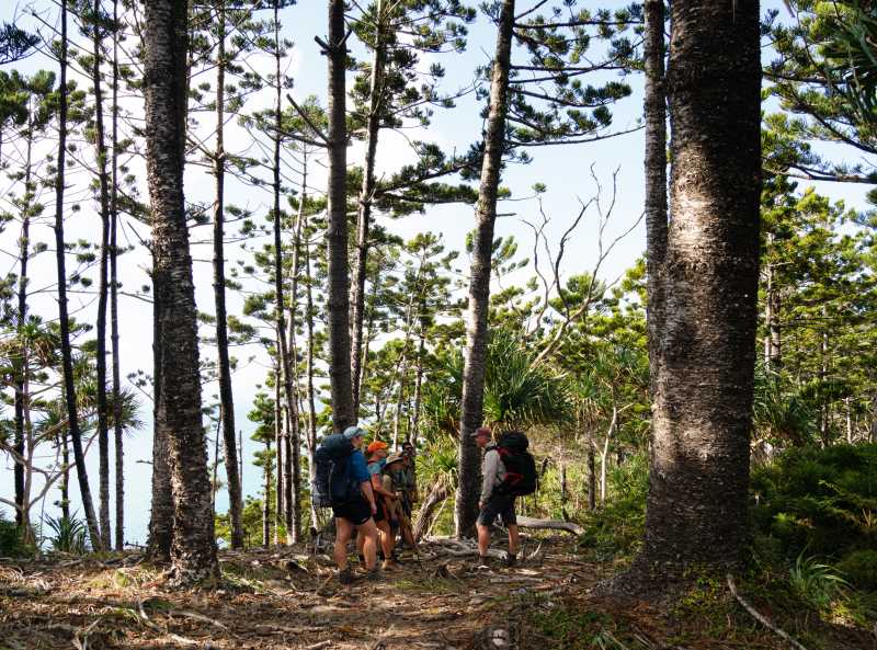 The Ngaro Track, Whitsunday Islands | Matt Horspool
