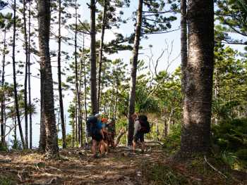 Ngaro Track Walk In Comfort