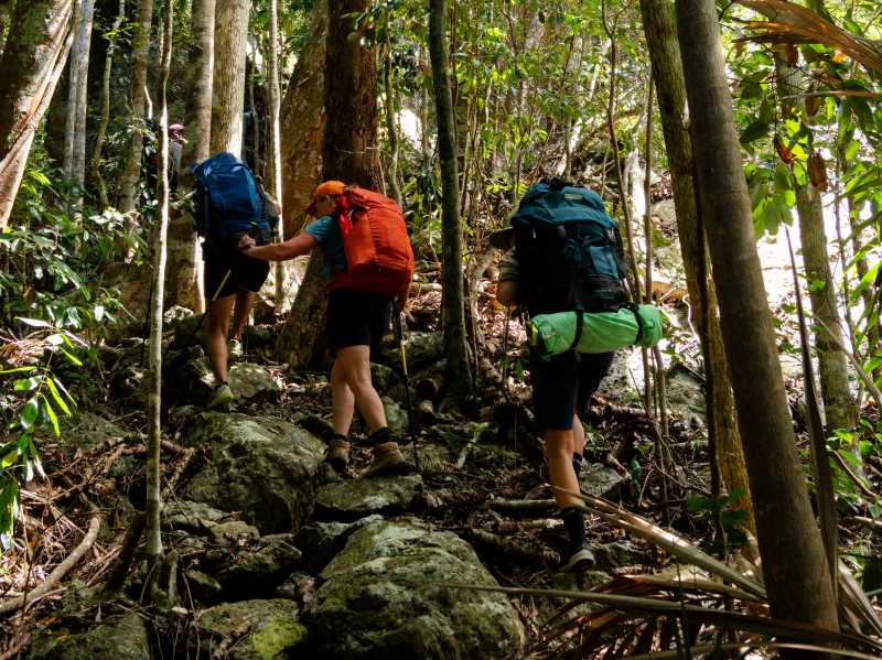 The Ngaro Track, Whitsunday Islands | Matt Horspool