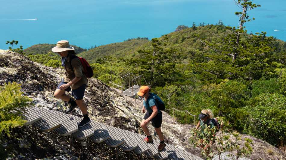 The Ngaro Track, Whitsunday Islands | Matt Horspool