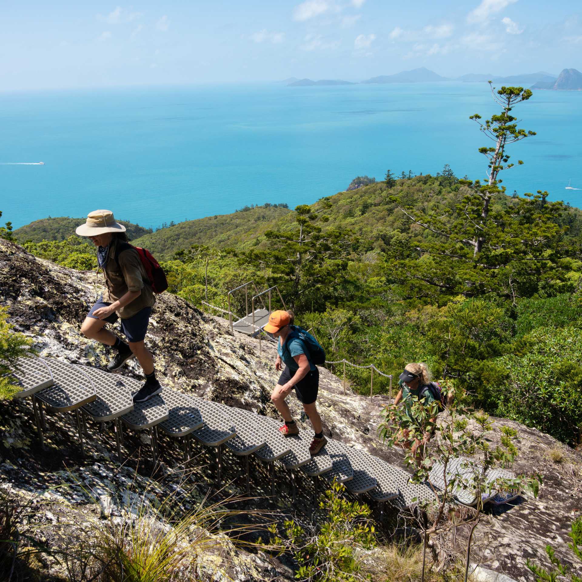 Ngaro Track Walk In Comfort