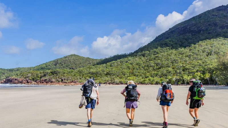 Thorsborne Trail trekkers crossing a beach below forested hills, Queensland - Thorsborne Trail Guided Walk, Australia