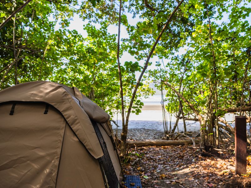 Thorsborne Trail camp site with a tent under forest canopy near a sandy beach | Eloise Weston