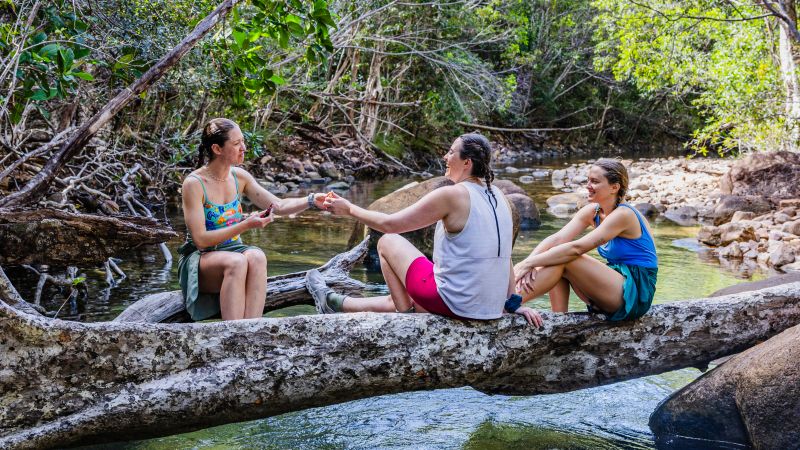 Thorsborne Trail trekkers pause creekside in rainforest, Hinchinbrook Island - Thorsborne Trail Guided Walk, Australia