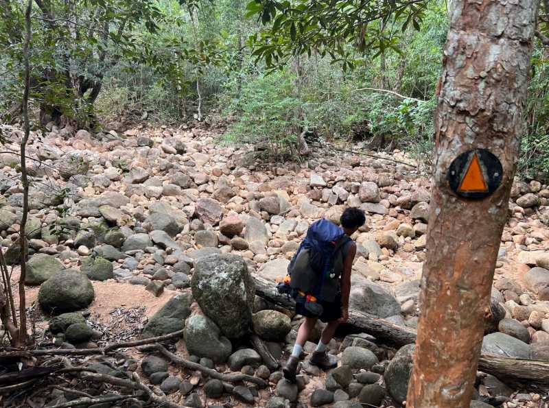 Trail conditions on the Thorsborne Trail