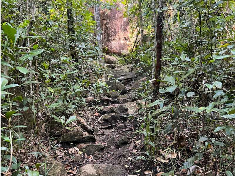 Trail conditions on the Thorsborne Trail