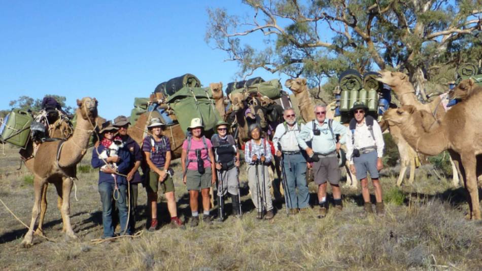 Camel trekkers in the Flinders