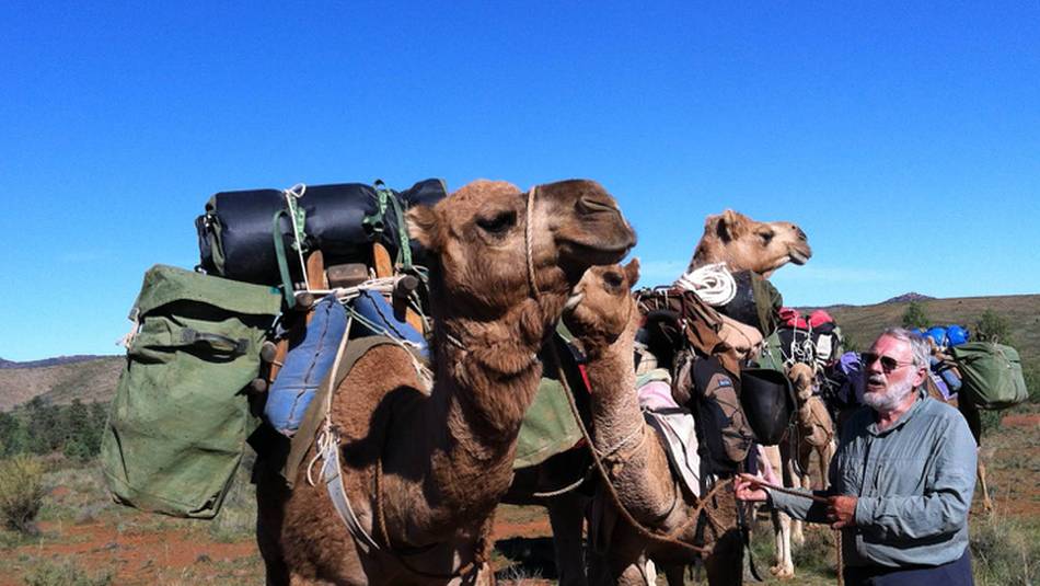 Camels allow walkers to travel even further