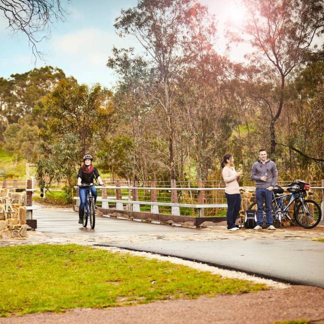 Make sure you have time to visit Jacob's Creek during your bike tour | Jamie McFayden