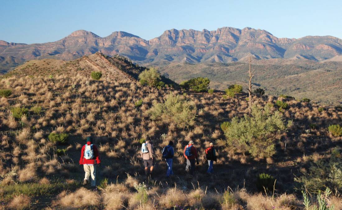 The Heysen Trail traverses the Bunyeroo Valley with Wilpena Pound in the background |  <i>Chris Buykx</i>