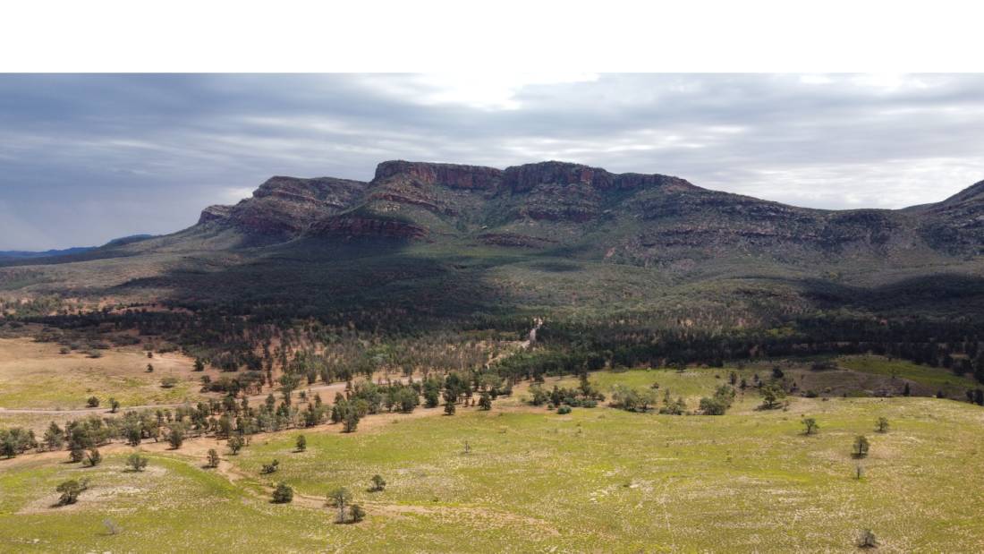 Views overlooking the Flinders Ranges |  <i>Earle Westbury</i>