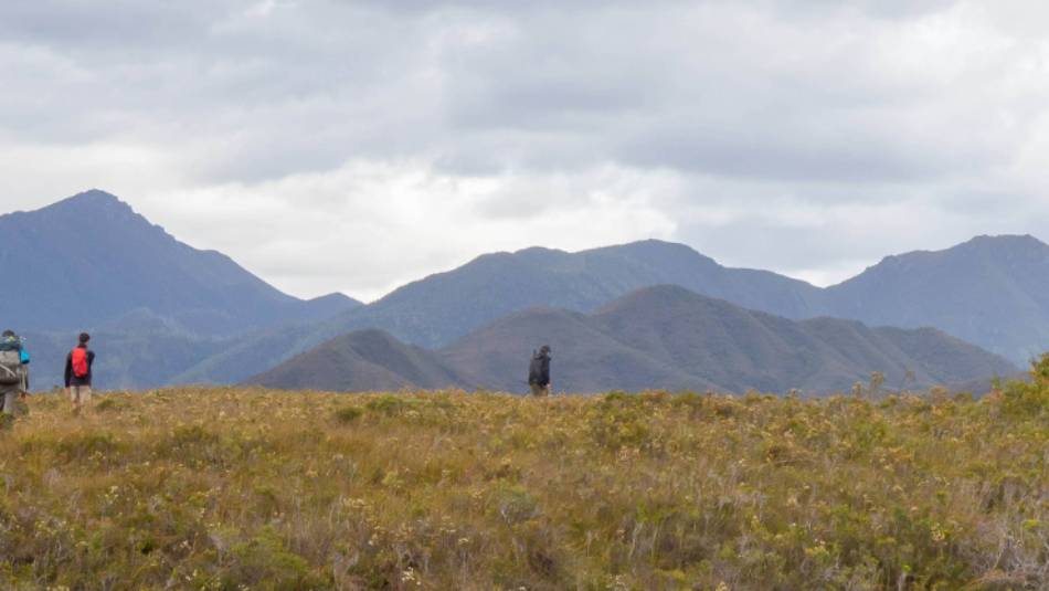 Trekking towards the Ironbound ranges on the South Coast Track in Tasmania | John Dalton