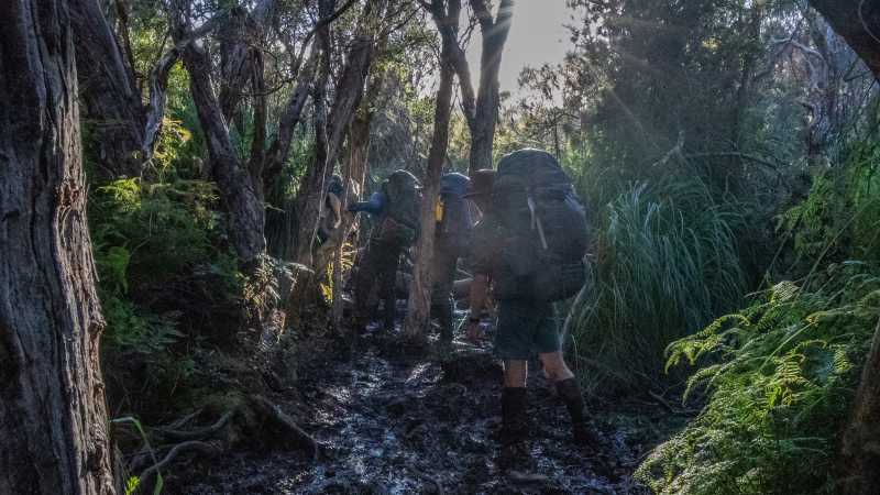 The terrain on the South Coast Track can be very muddy | John Dalton