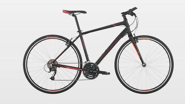 Tasmanian Expeditions Avanti Bike