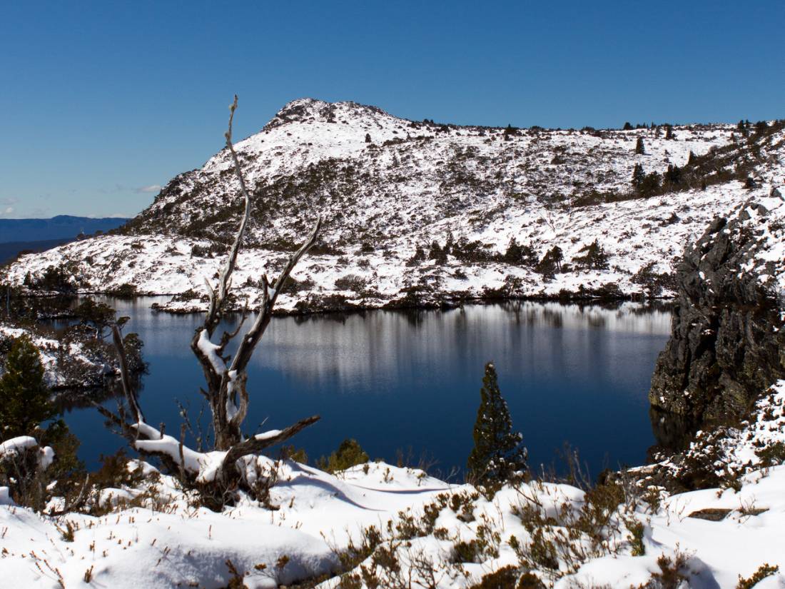 Cradle Mountain-Lake St Clair National Park, Tasmania |  <i>Paul Maddock</i>