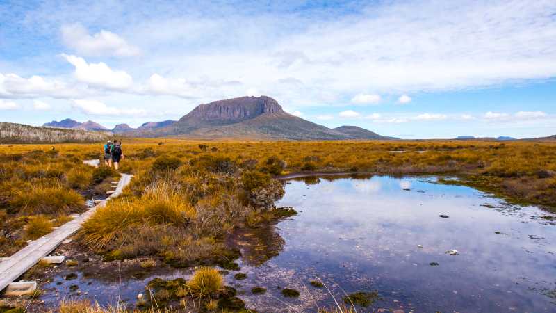 Trekkers walking along the boardwalk on the Overland Track | Great Walks of Australia