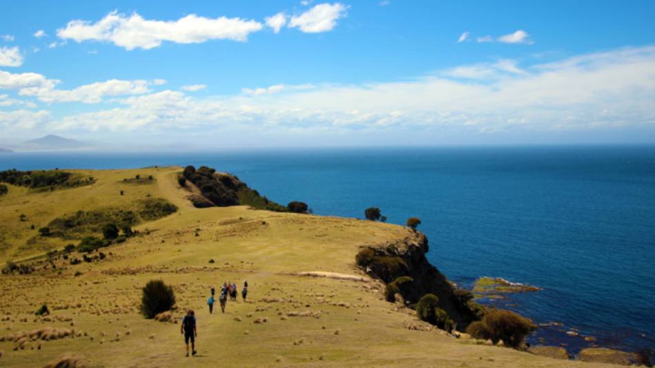 Explore Tasmania's Maria Island by foot | Oscar Bedford