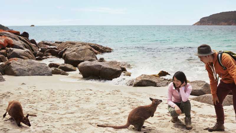 The Freycinet Experience is one of the Great Walks of Australia | Hugh Stewart, Tourism Australia