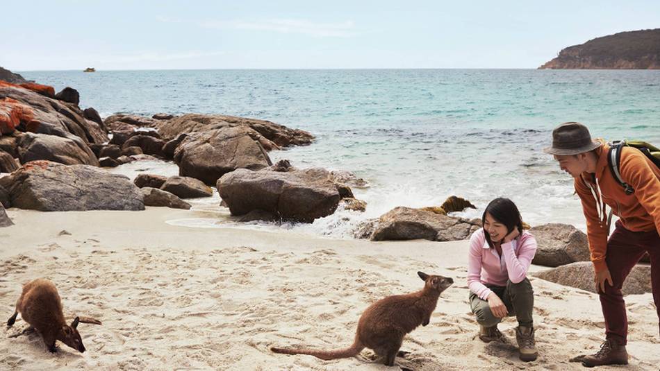 The Freycinet Experience is one of the Great Walks of Australia | Hugh Stewart, Tourism Australia