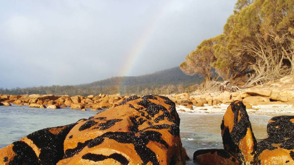 The many colours of Freycinet National Park | Steve Trudgeon