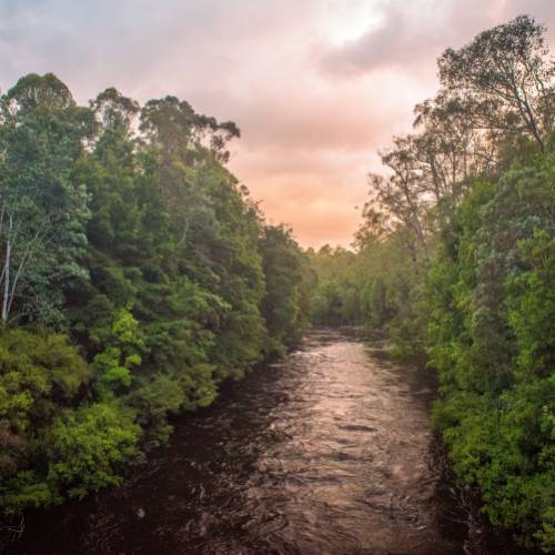 The Pristine Tasmanian Wilderness World Heritage Area.