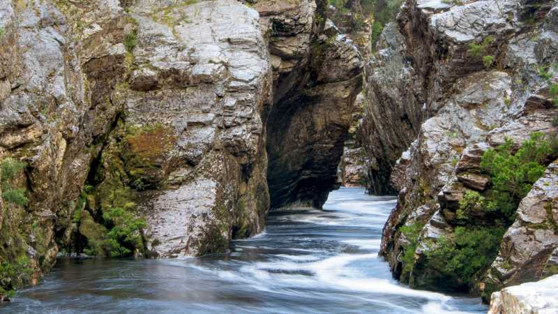 Pristine wilderness, Franklin River | Glenn Walker