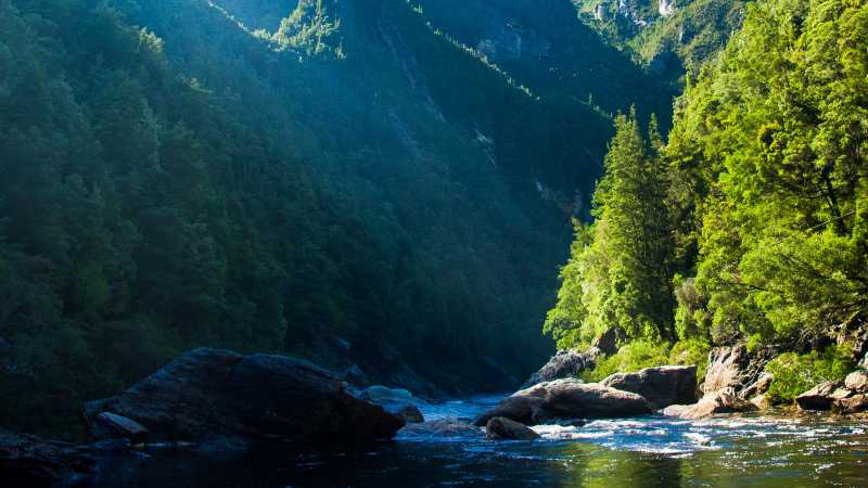 Franklin River in the South West wilderness | Glenn Walker