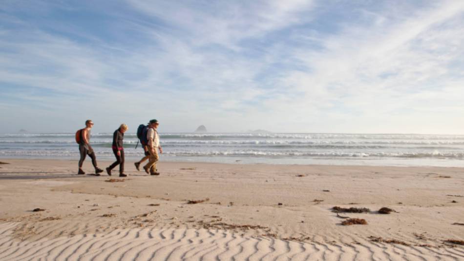 Guests walk along Stephens Bay, a remote beach | Mark Daffey