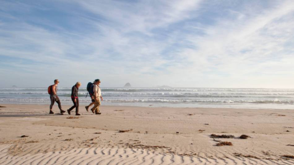 Guests walk along Stephens Bay, a remote beach | Mark Daffey