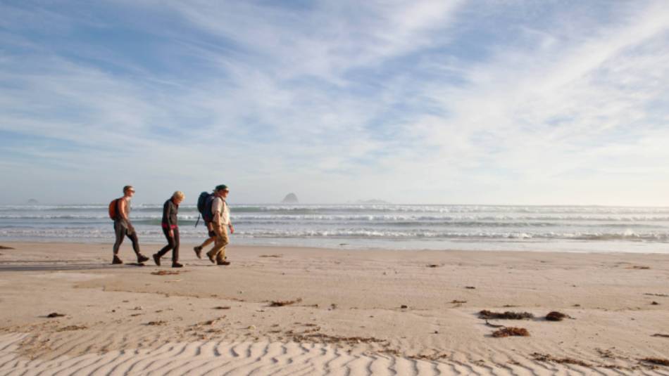 Guests walk along Stephens Bay, a remote beach | Mark Daffey