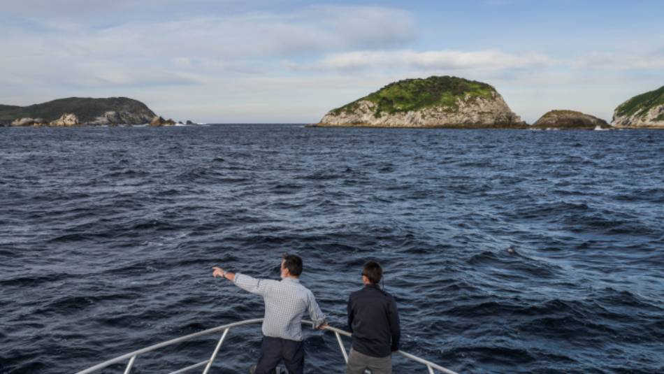 Guide & guest island spotting from the bow of Odalisque